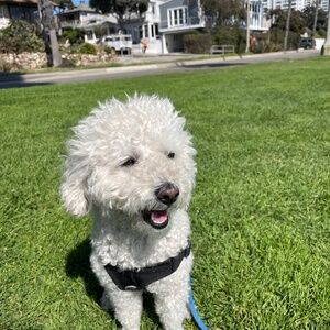 Meet your Posher, Christine